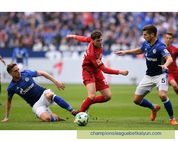 德甲弗赖堡引援动向：近期转会策略与阵容补强分析